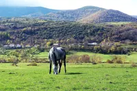 El Balcon de La Lomba Hotels in Campoo