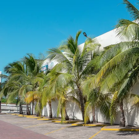 Bonitto Inn® Altamira Zona Industrial
