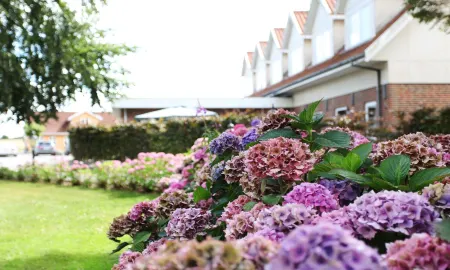 Fangel Kro & Hotel Отели в г. Tommerup