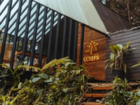 OCULTO REFUGIO DE BOSQUE Hoteles en Envigado