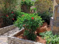 Sissi Mare Apartments Hotels in Vrachasi