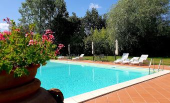 Agriturismo Il Sole Verde