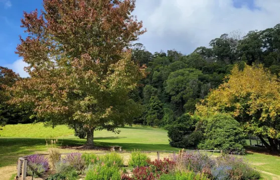 貝瑞彩繪客房酒店