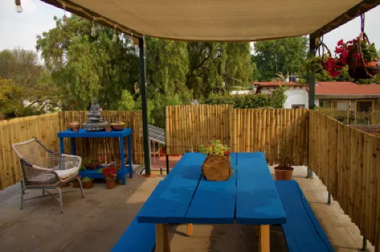 Departamentos Mi Querido Coyoacán