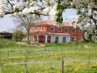 Weinhof am Nussbaum Các khách sạn ở Marktbreit