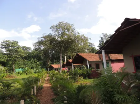 Jungle Nest Homestay