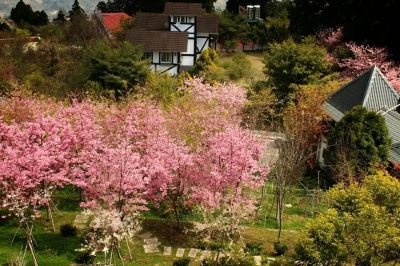 ホテル周辺 ハウステンボスの写真