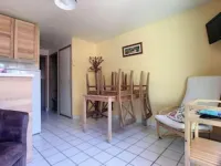 TAMARIS, SEASIDE AND WILD COAST