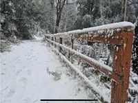 Warburton<br>4 bedroom house near all of Warburton attractions, right on the yarra