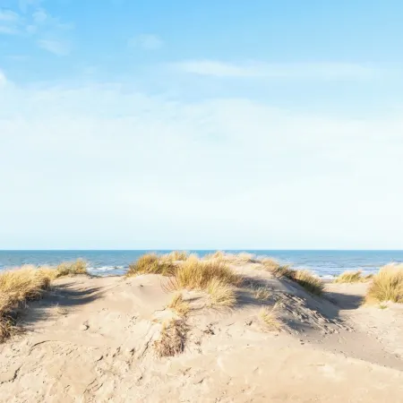 Family Stay in Oostduinkerke