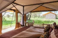Gnu Mara River Camp Hôtels à : Plaine du Serengeti