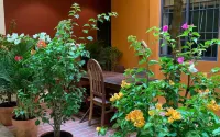 Chi Hieu Homestay Hotels in Phuong 7