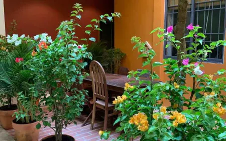 Chi Hieu Homestay Отели в г. Phuong 3