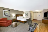 Hilton Garden Inn Sarasota-Bradenton Airport Hotel a Whitfield