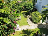 Bananaquit Tobago -Stay Near the Beach