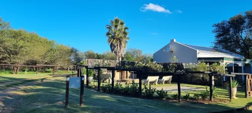 River Rock Lodge Hotels in Parys