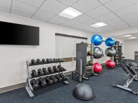 Holiday Inn Express Peotone by IHG - Gym