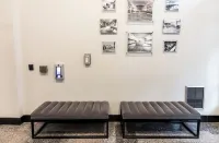 Stylish Chic Downtown Apartment