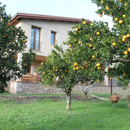 Casa Rural la Flor del Naranjo