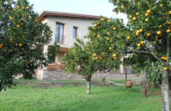 Casa Rural la Flor del Naranjo Hotels in Sierra de Gata