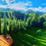 Apartament 2 camere Roberta Breaza TransylvaniaPetfriendly Hôtels à : Lisa