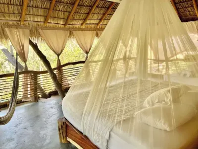 Devine virgin bay New tree house pvt/room palapa فنادق في 