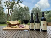 OLIVE TREES - FARMHOUSE ESTATE SAN DONATO