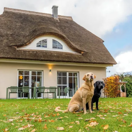 Lieblingshof House 3 - Holidays under the thatch and close to the Baltic Sea Отели в г. Борн-на-Дарсе