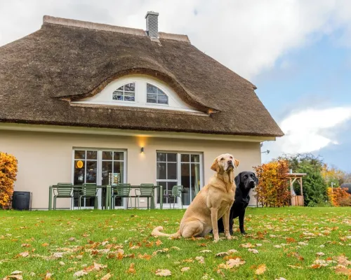 Lieblingshof House 3 - Holidays under the thatch and close to the Baltic Sea Hotels in Born