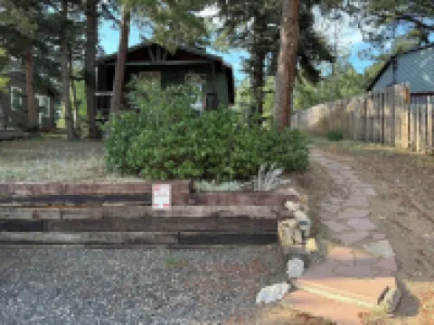 Cozy & Comfortable 1Bd Cabin in Nederland ~ Walk to Downtown
