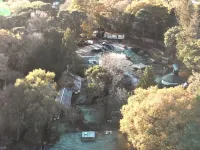 隱於森林空地並配有木柴加熱熱水浴缸的恬靜原木小屋 威爾漢姆酒店
