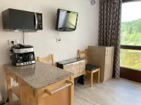 STUDIO AT THE FOOT OF THE SLOPES