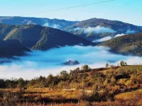 Luxurious villa surrounded by greenery with breathtaking views of the city Hotels in 