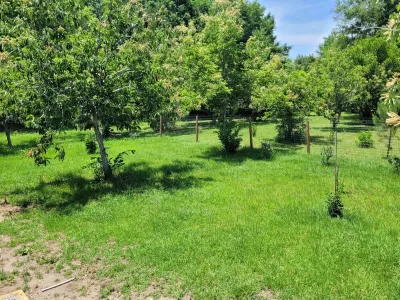 Spacious 5-bedroom/3 bath mobile home on an Orchard of 5 acres in Alachua Hotels near Jonesville Park