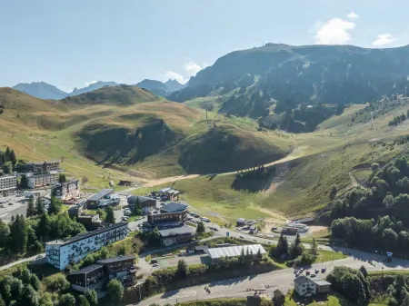 V du Bachat Asters A