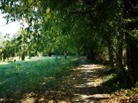 Green Box - be in Nature w/ Train to Porto Hotels in Valongo