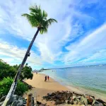 Tropical Bungalow in the jungle