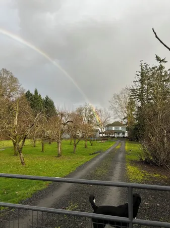 Charming 1-Bedroom Apartment on 3 Acres in Rural Woodburn, Near I-5 & Shopping