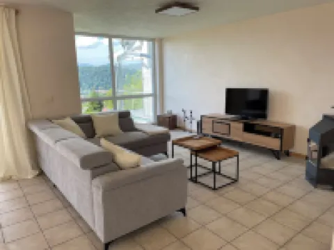 Spacious vacation apartment with panoramic view Hotels in Schopfheim
