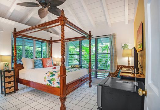 2. 빅 아일랜드 리..