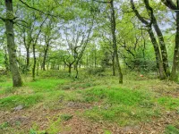 "Ellica" - 50km from the Sea Hotels in Give