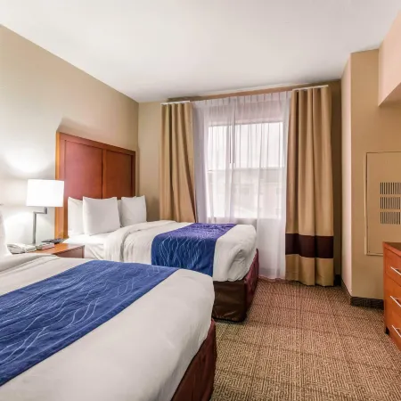 Comfort Inn & Suites IAH Bush Airport - East