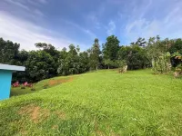 Rainforest Retreat 15 min from the beach