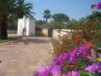 Llampudol (villa Sa Coma) - Villa With Pool
