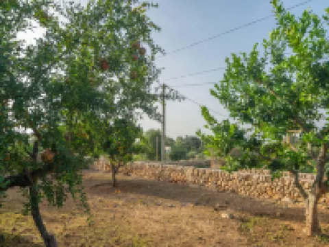 Son Indiot - Villa With Private Pool In Algaida Hotele w: Algaida