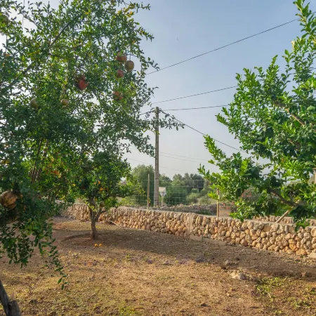 Son Indiot - Villa With Private Pool In Algaida