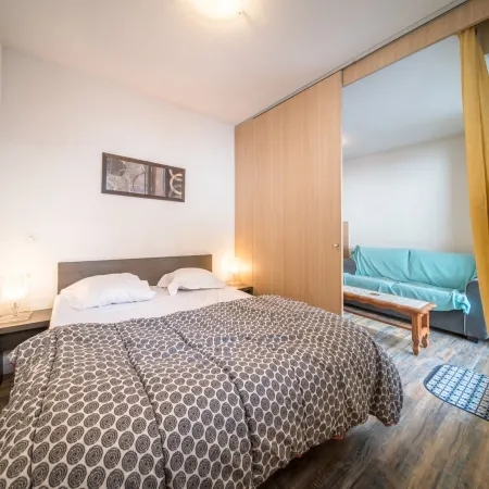 Apartment in France with Ski Slope Access