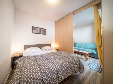 Apartment in France with Ski Slope Access
