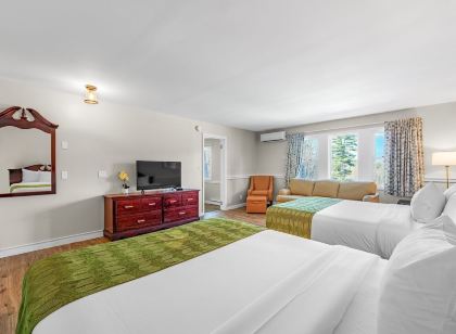 그레이 본넷 인