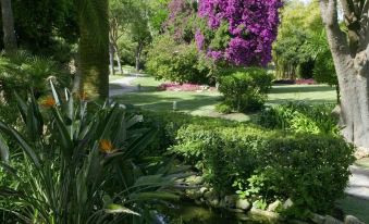 The Oasis by Don Carlos Resort